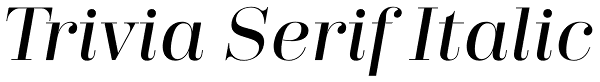 Trivia Serif Italic Font