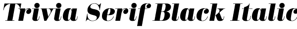 Trivia Serif Black Italic Font