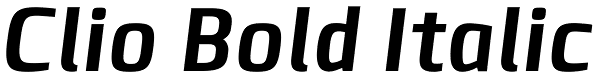 Clio Bold Italic Font