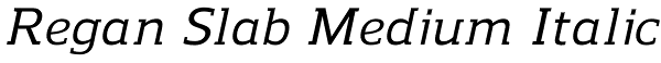 Regan Slab Medium Italic Font