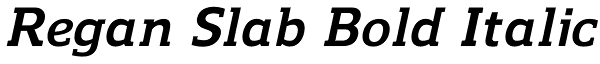 Regan Slab Bold Italic Font