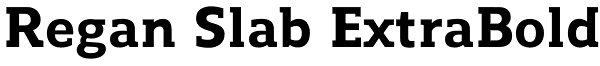 Regan Slab ExtraBold Font
