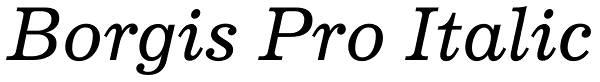 Borgis Pro Italic Font