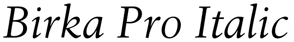 Birka Pro Italic Font