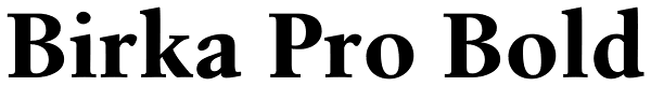 Birka Pro Bold Font