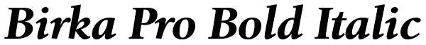 Birka Pro Bold Italic Font