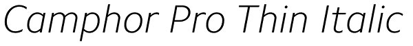 Camphor Pro Thin Italic Font