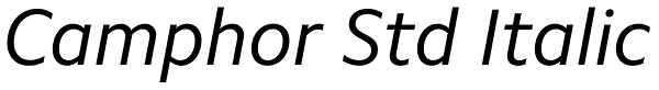 Camphor Std Italic Font