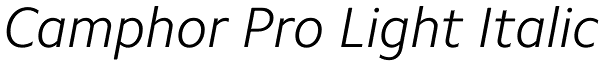 Camphor Pro Light Italic Font