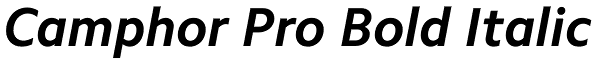 Camphor Pro Bold Italic Font