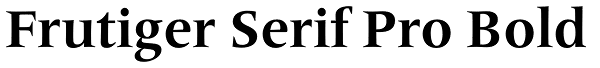 Frutiger Serif Pro Bold Font