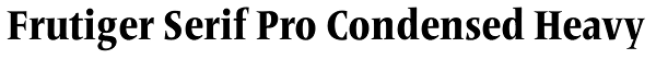 Frutiger Serif Pro Condensed Heavy Font