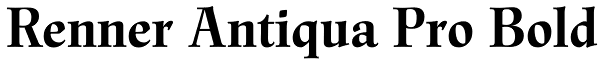 Renner Antiqua Pro Bold Font