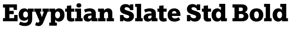 Egyptian Slate Std Bold Font