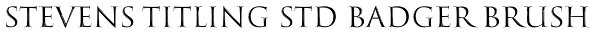 Stevens Titling Std Badger Brush Font