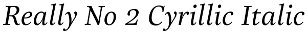 Really No 2 Cyrillic Italic Font