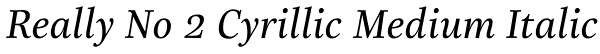 Really No 2 Cyrillic Medium Italic Font