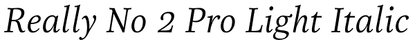 Really No 2 Pro Light Italic Font