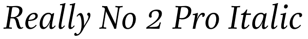 Really No 2 Pro Italic Font