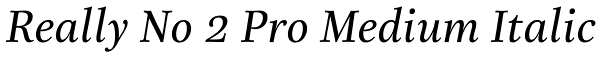 Really No 2 Pro Medium Italic Font