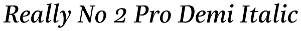 Really No 2 Pro Demi Italic Font