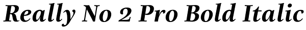 Really No 2 Pro Bold Italic Font