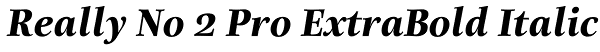 Really No 2 Pro ExtraBold Italic Font