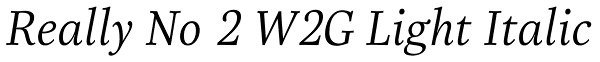 Really No 2 W2G Light Italic Font