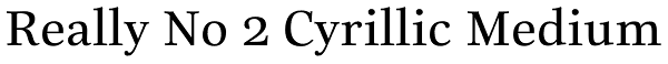 Really No 2 Cyrillic Medium Font