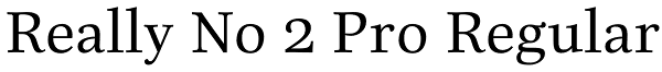 Really No 2 Pro Regular Font