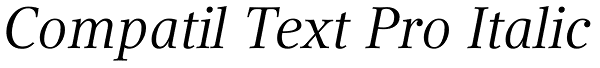 Compatil Text Pro Italic Font