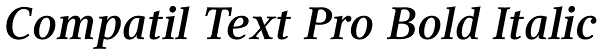 Compatil Text Pro Bold Italic Font