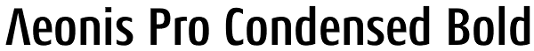 Aeonis Pro Condensed Bold Font