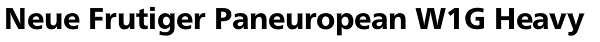 Neue Frutiger Paneuropean W1G Heavy Font