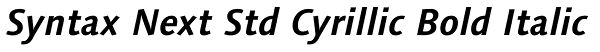 Syntax Next Std Cyrillic Bold Italic Font