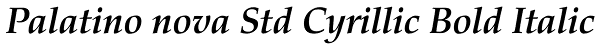 Palatino nova Std Cyrillic Bold Italic Font