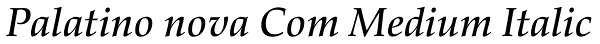 Palatino nova Com Medium Italic Font