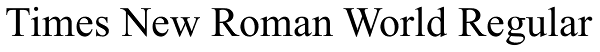 Times New Roman World Regular Font