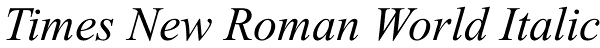 Times New Roman World Italic Font