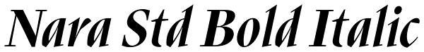 Nara Std Bold Italic Font