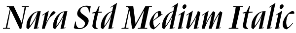 Nara Std Medium Italic Font