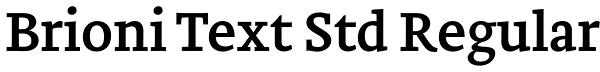 Brioni Text Std Regular Font