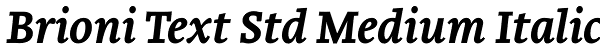 Brioni Text Std Medium Italic Font