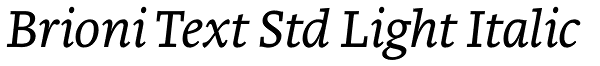 Brioni Text Std Light Italic Font