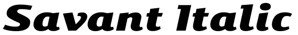 Savant Italic Font