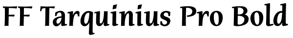 FF Tarquinius Pro Bold Font