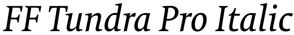 FF Tundra Pro Italic Font