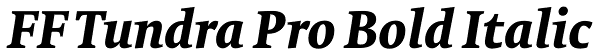 FF Tundra Pro Bold Italic Font