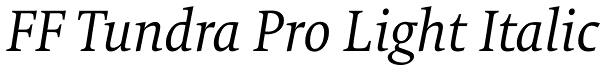 FF Tundra Pro Light Italic Font