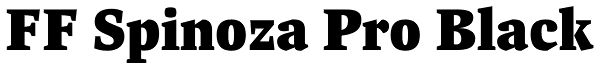 FF Spinoza Pro Black Font